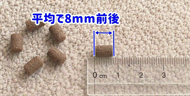 約8mm前後の小粒タイプの写真