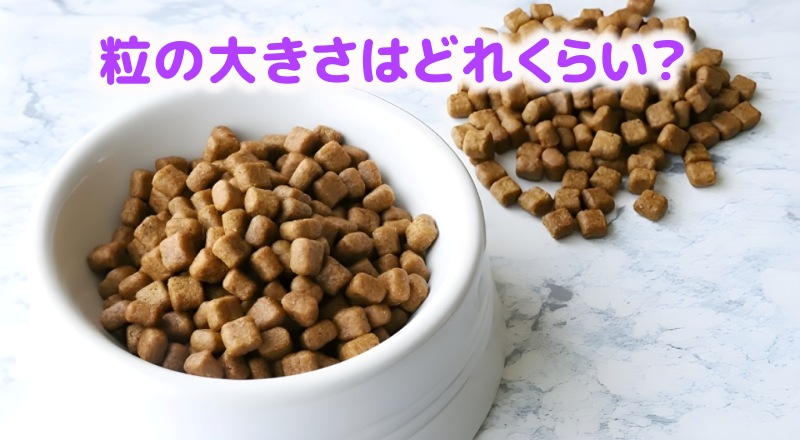 粒の写真