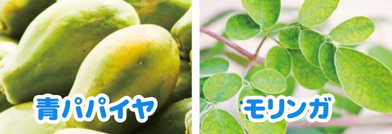 青パパイヤ・モリンガを配合
