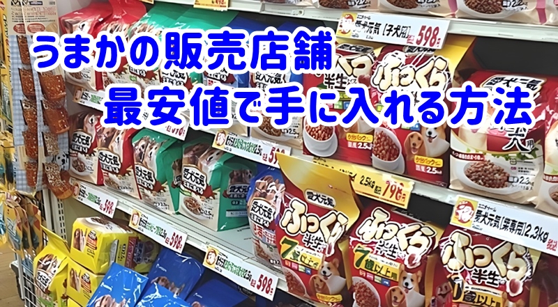 うまかドッグフードの店舗はどこ？最安値は