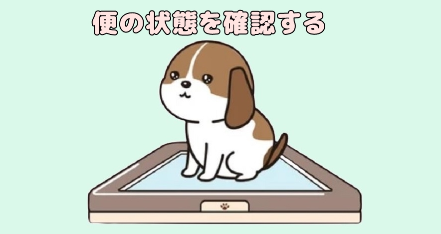 便をする愛犬