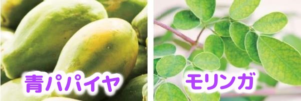 青パパイヤ・モリンガを配合