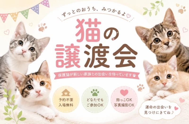 猫の譲渡会