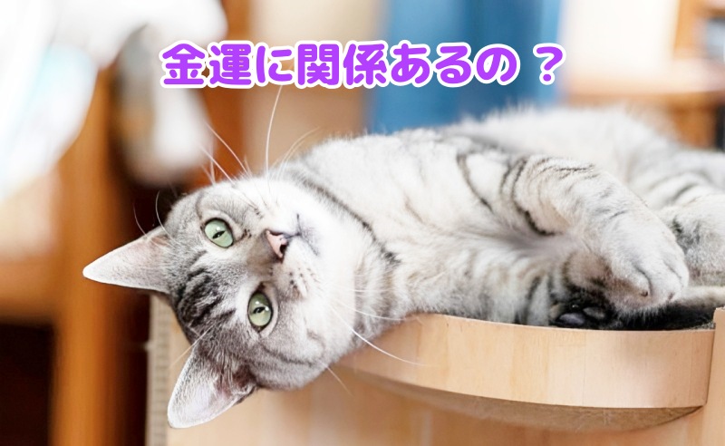 キジトラ猫