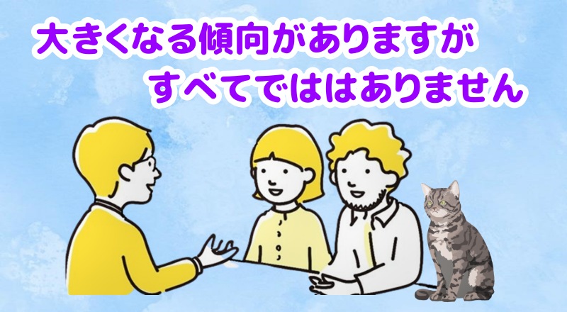 すべてのキジトラのオスが巨大になるわけではありませんと言う人