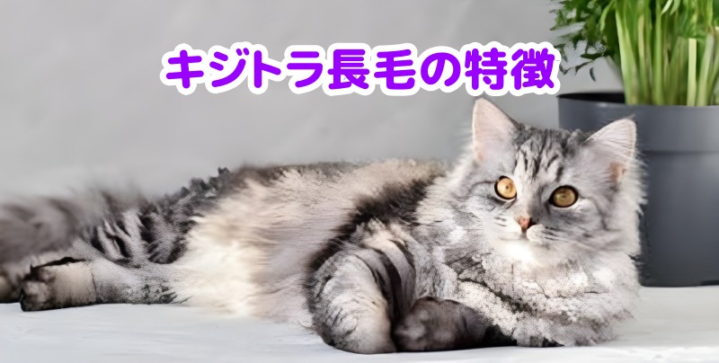 キジトラ猫