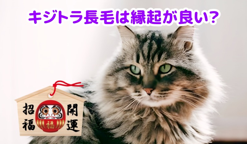 キジトラ猫