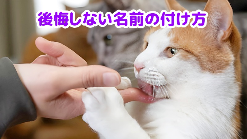 キジトラ猫
