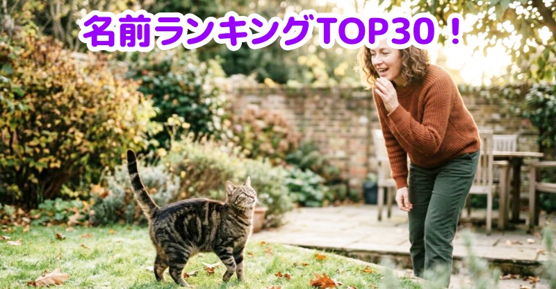 キジトラ猫を呼ぶ女性