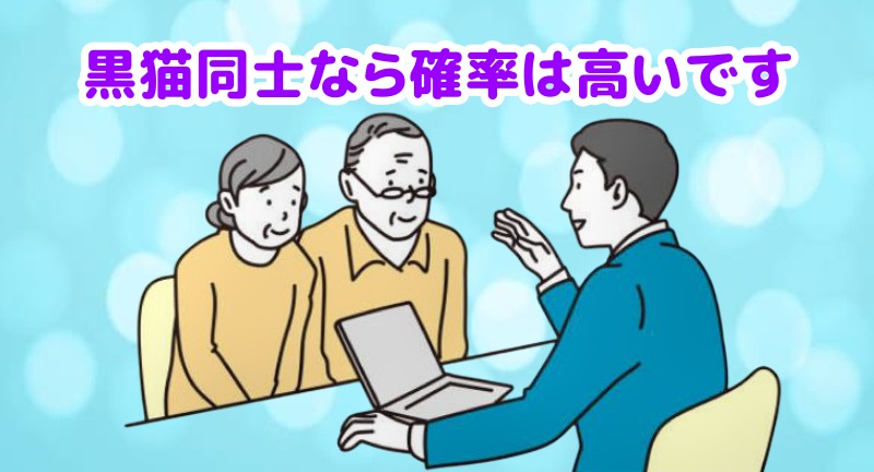黒猫同士なら黒猫が生まれる確率は高いと言う専門家