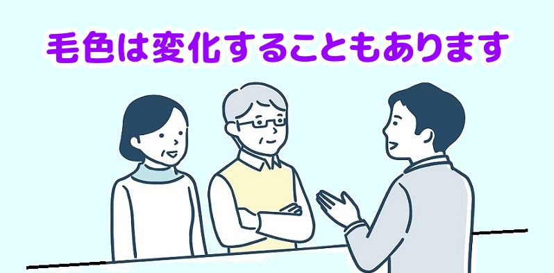 黒猫の毛色は成長とともに変化することもあると説明する専門家