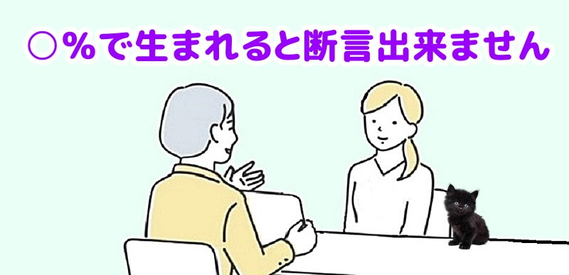 黒猫は○%で生まれると断言できませんと言う専門家