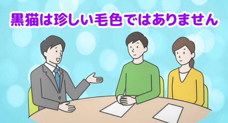 黒猫は珍しい毛色ではありませんと説明する専門家