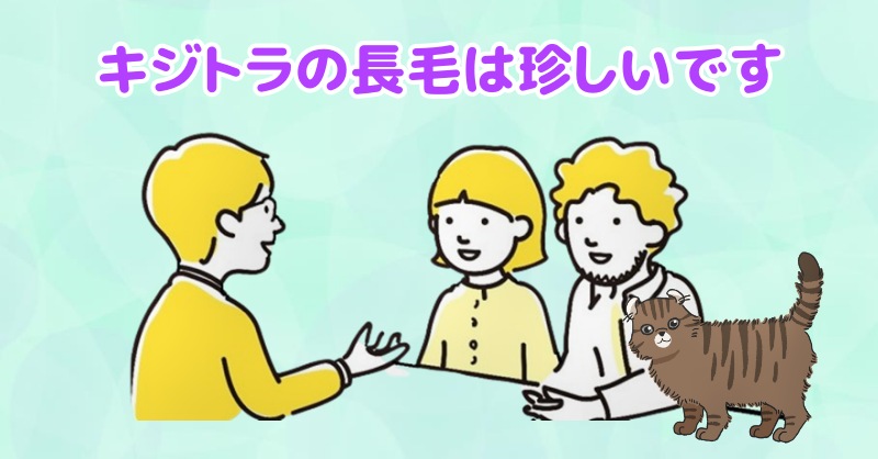 キジトラの長毛は比較的珍しいと言う人