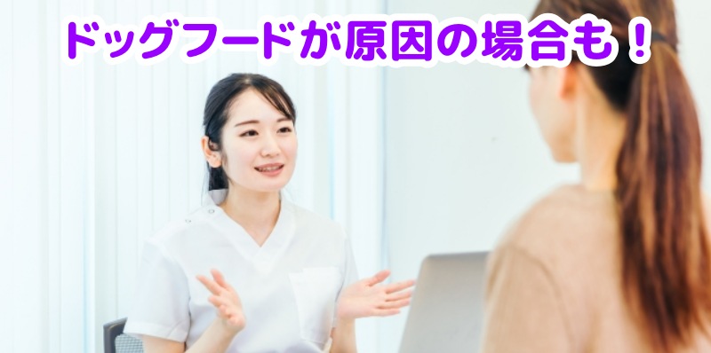 ドッグフードが原因で涙やけがおこる場合もあると言うスタッフ