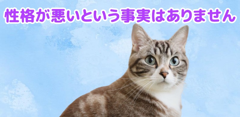 性格が悪いという事実はありません