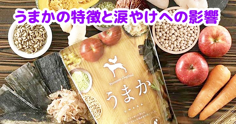 うまかドッグフード