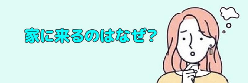 家に来るのはなぜ?と言う女性