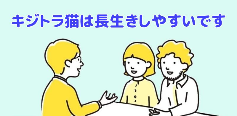 キジトラ猫は長生きしやすいと説明する専門家