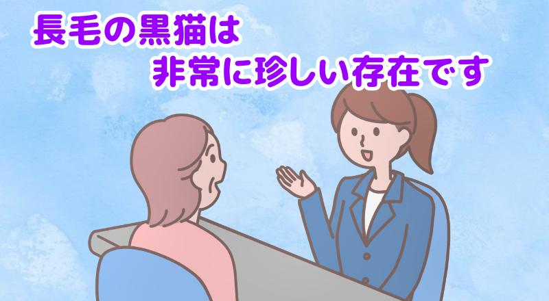 長毛の黒猫は、非常に珍しい存在ですと説明する専門家