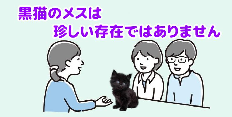 黒猫のメスは珍しい存在ではありませんと説明する専門家