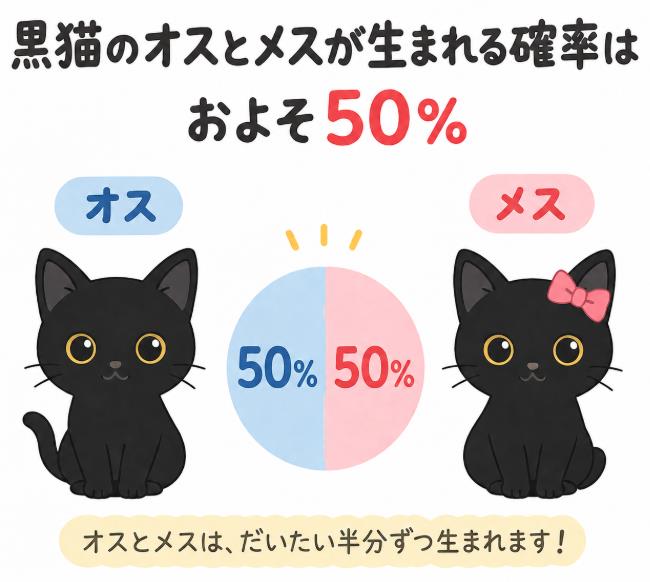 オスとメスが生まれる確率は、およそ50%の説明画像
