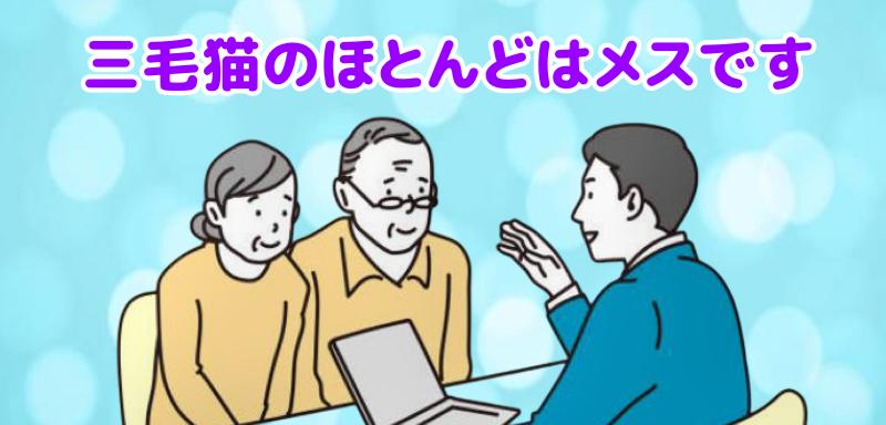 三毛猫のほとんどはメスですと説明する専門家