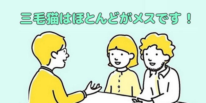 三毛猫はほとんどがメスと説明する専門家