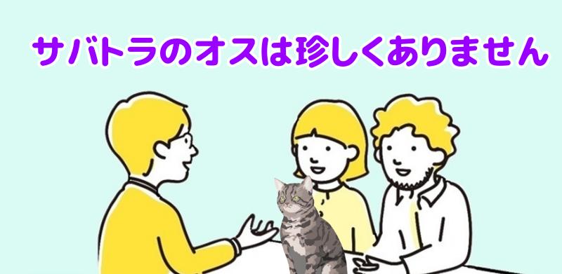 サバトラのオスは、決して珍しい存在ではありませんと説明する専門家