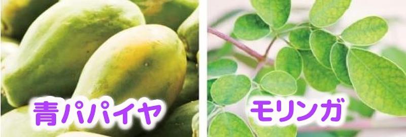 モリンガと青パパイヤ