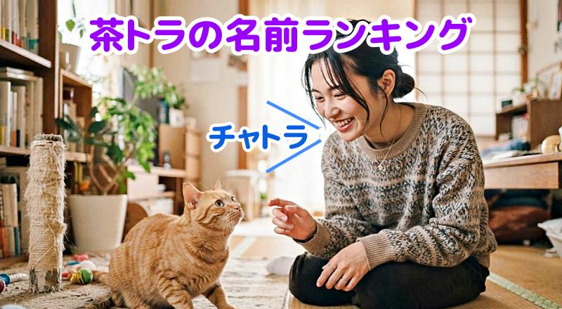 茶トラの名前を呼ぶ飼い主