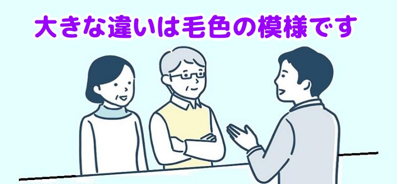 最も大きな違いは毛色の模様ですと説明する専門家