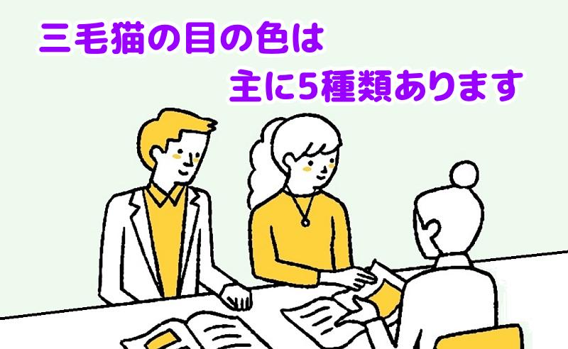 三毛猫の目の色は主に5種類ありますと説明する専門家