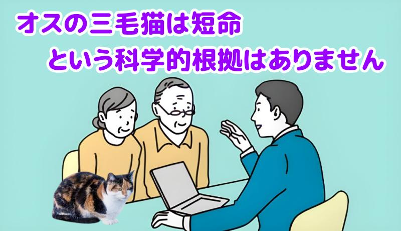 「オスの三毛猫は短命」という説を裏付ける十分な科学的根拠はありませんと説明する専門家