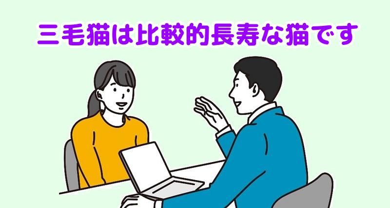 三毛猫は比較的長寿な猫ですと説明する専門家