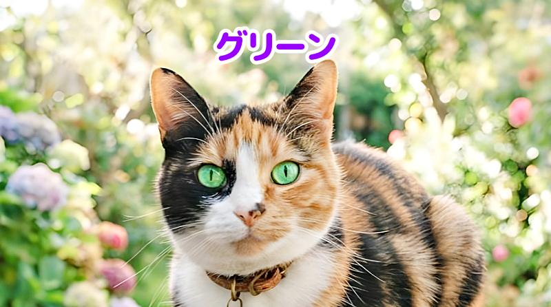 三毛猫の目の色グリーンの猫