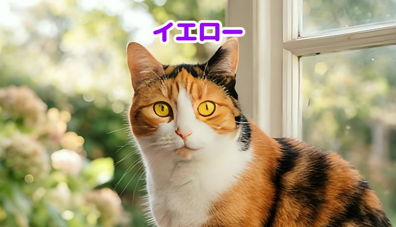 三毛猫の目の色イエローの猫