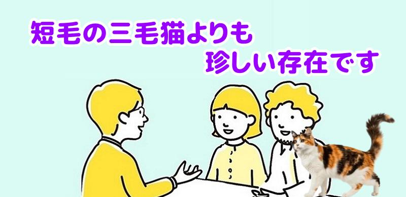 三毛猫は一般的な短毛の三毛猫よりも珍しい存在ですと説明する専門家