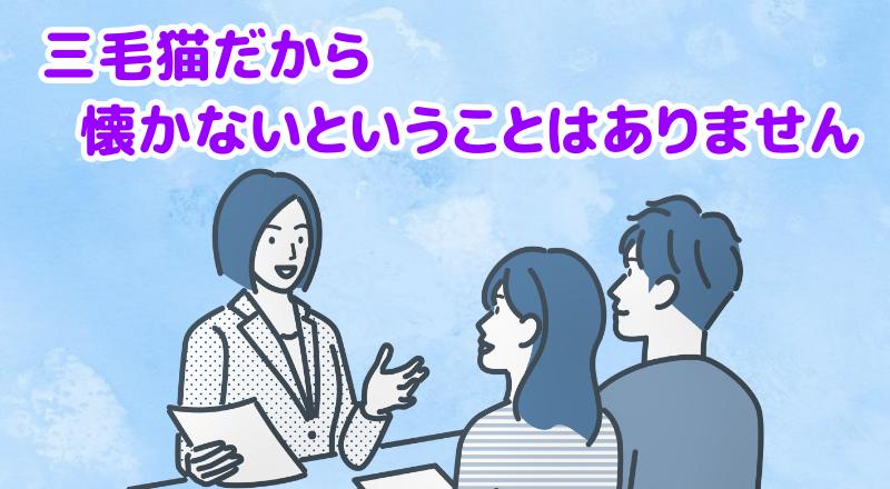 三毛猫だから懐かないという科学的根拠はありませんと説明する専門家