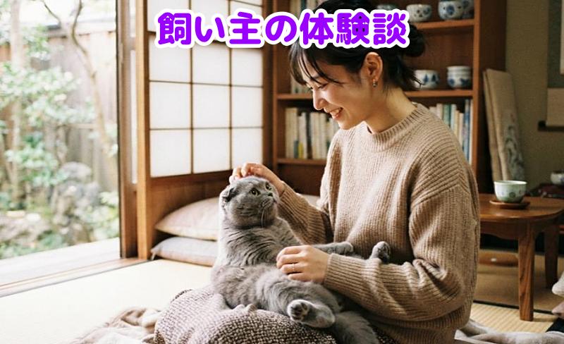 スコティッシュフォールドと飼い主